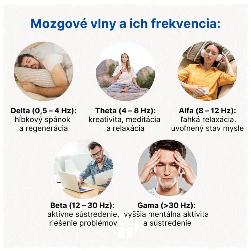(Slovenčina) Mozkové vlny a jejich frekvence